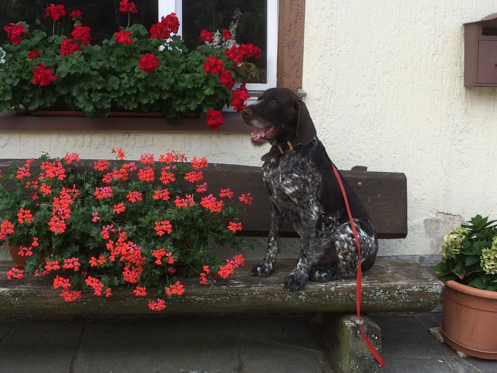Silberdistel Guest house